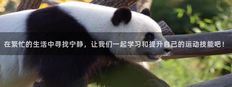 中欧体育在线