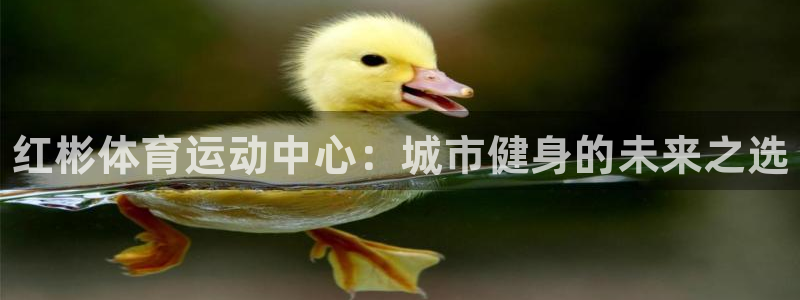 中欧体育app