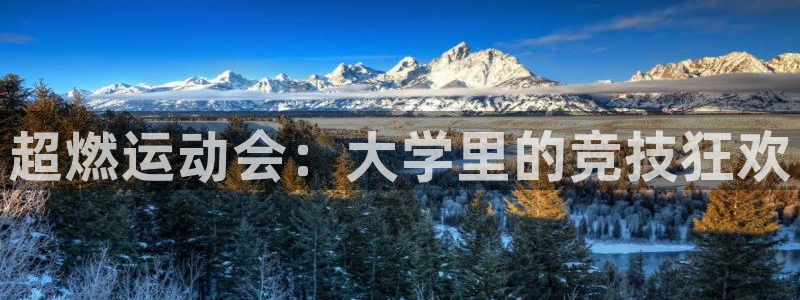 中欧体育最新地址